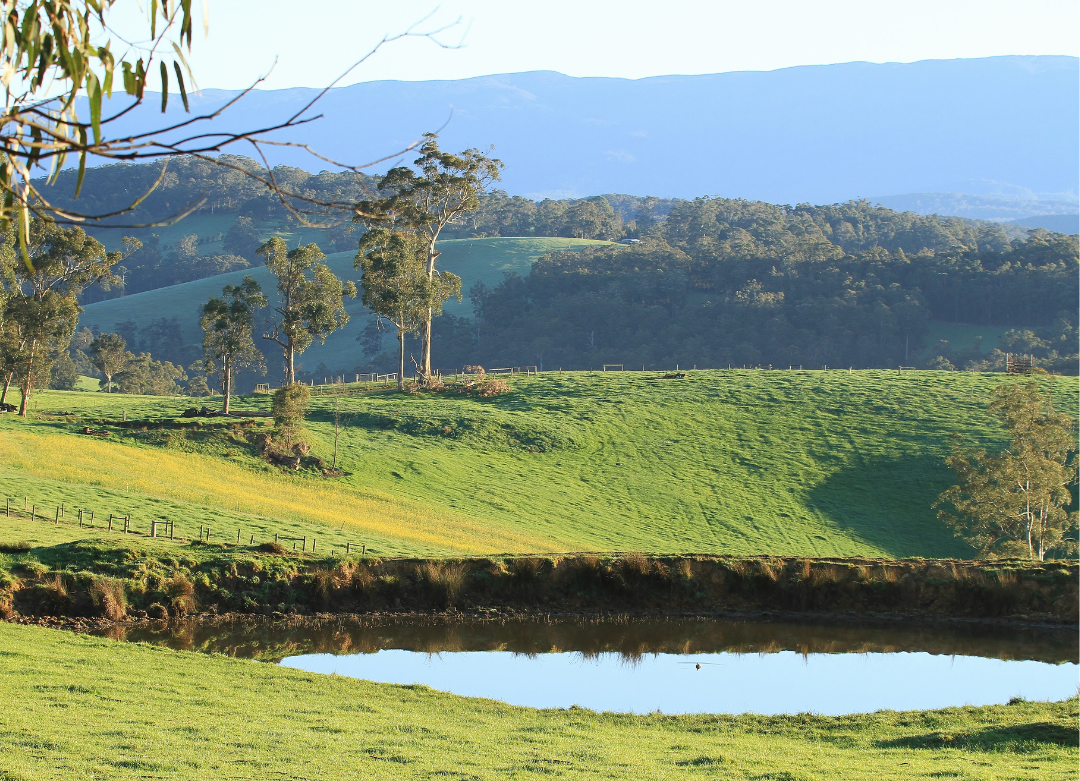 Rolling Hills Dairy Country Happy Days Accommodation Tinamba near Maffra Gippsland Victoria