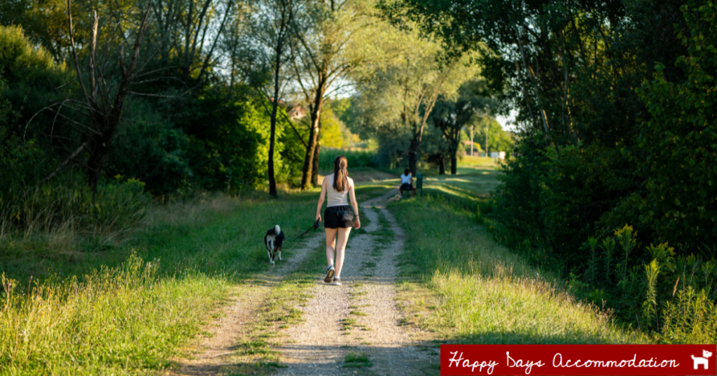 Bellbird Corner Riverside Reserve (Maffra) Happy Days Accommodation Dog-friendly stays and walks near Maffra and Tinamba Hotel