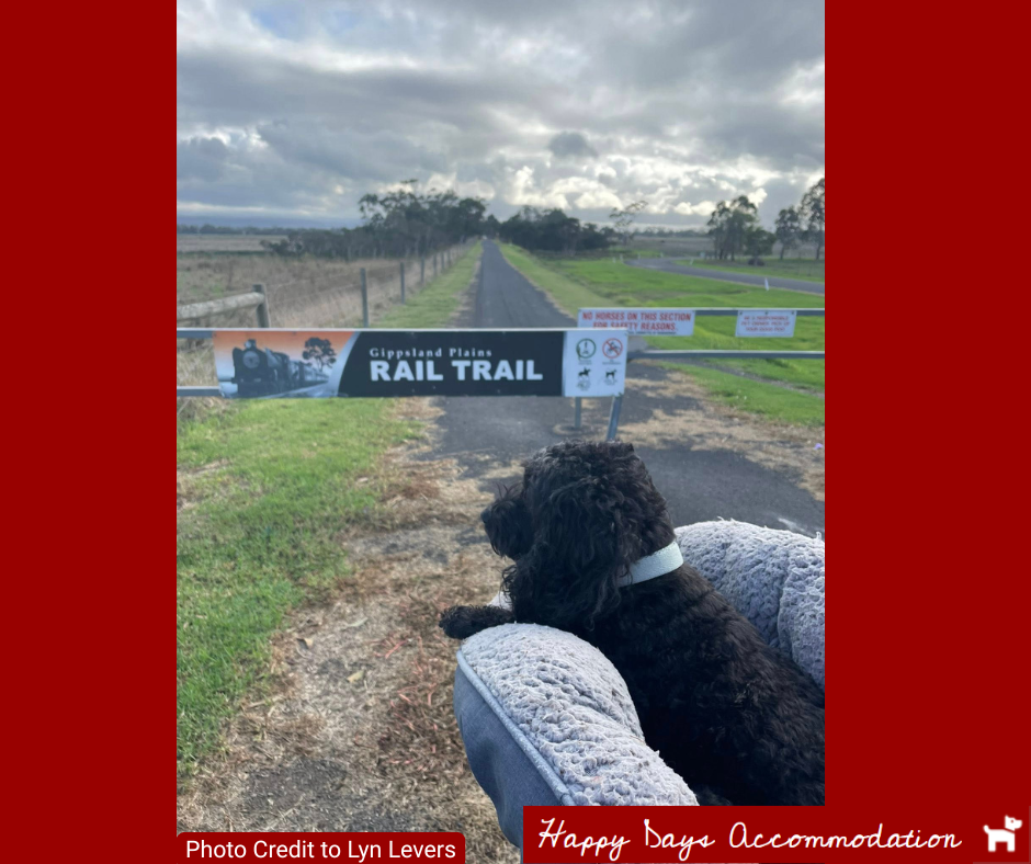 The Gippsland Plains Rail Trail for a Dog Day Out Happy Days Accommodation in Tinamba Maffra Gippsland Victoria