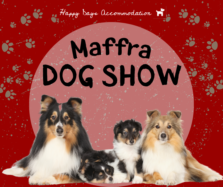 Maffra Dog Show promotional graphic for Happy Days Accommodation, featuring a Shetland Sheepdog with two puppies