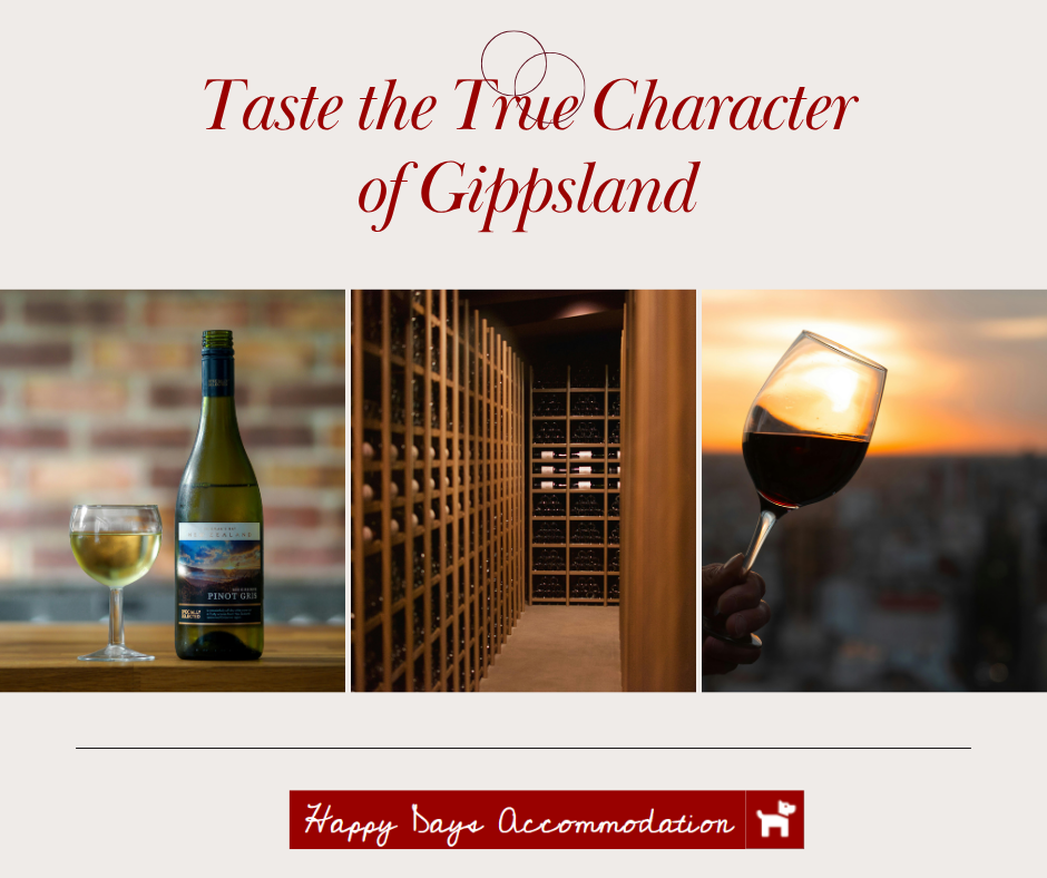 Wine bottle, cellar and a glass of red at sunset, capturing the cellar door experience of Central Gippsland's wine region
